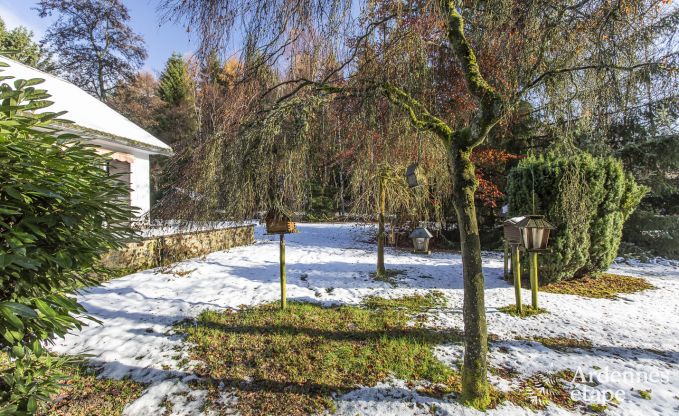 Holiday home surrounded by trees to rent for six people in the Ardennes (Malmedy)