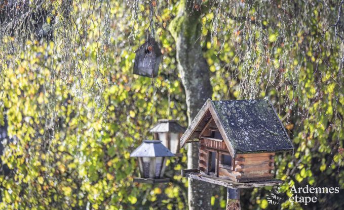 Holiday home in Malmedy, Ardennes, 3 bedrooms, 3 bathrooms, baby equipment, terrace, private garden, secure bike shelter