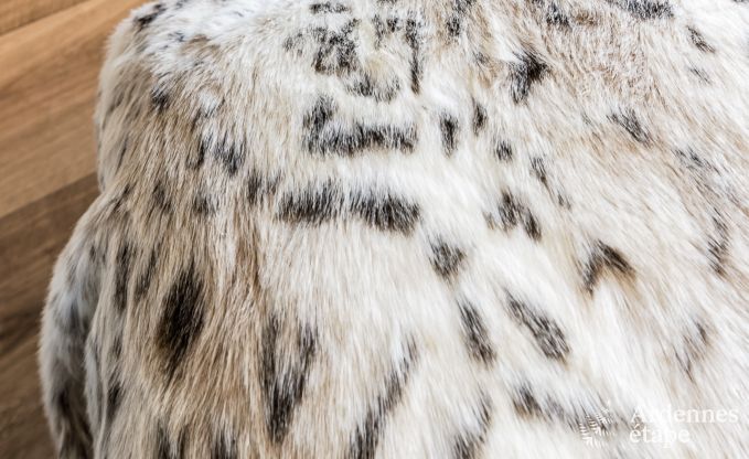 Holiday cottage in Malmedy for 20 persons in the Ardennes