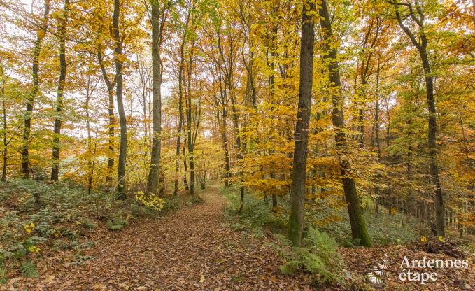 Holiday cottage in Malmedy for 18/20 persons in the Ardennes