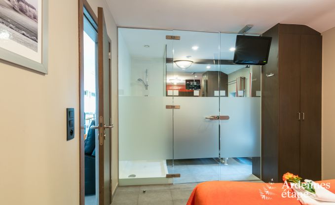 Luxury villa in Malmedy for 8/9 persons in the Ardennes