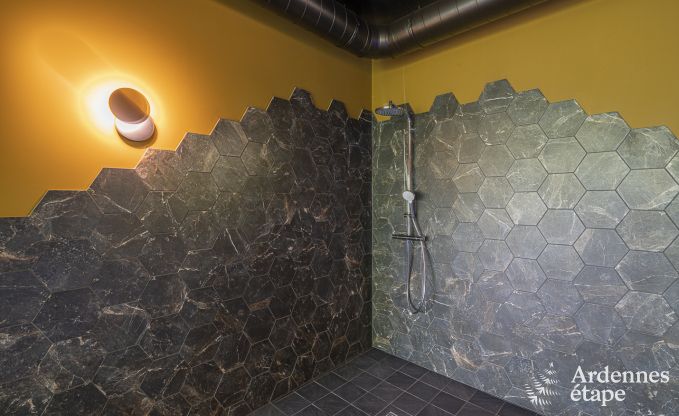 Luxury villa in Malmedy for 12 persons in the Ardennes