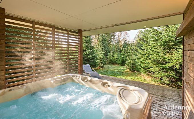 Chalet in Malmedy for 12/14 people in the High Fens