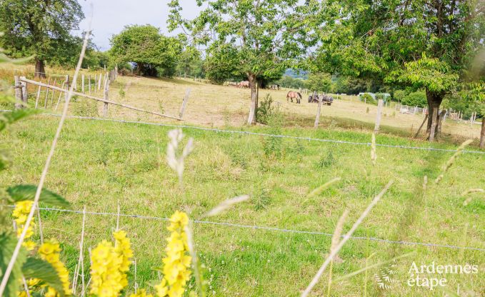 Holiday cottage in Malmedy for 6 persons in the Ardennes