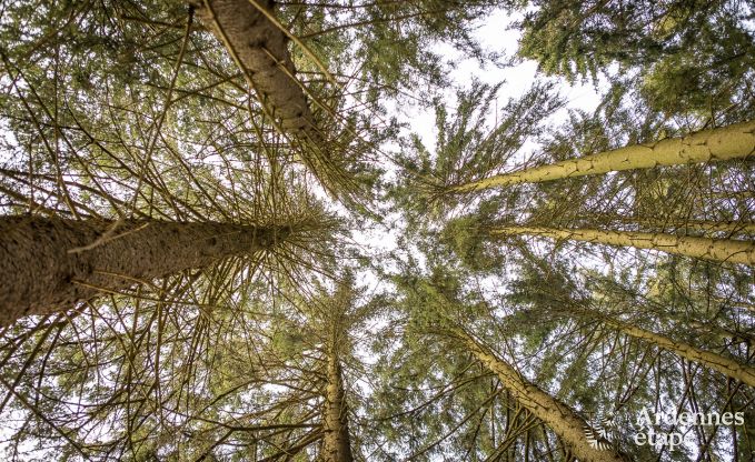 Chalet in Manhay for 2 persons in the Ardennes