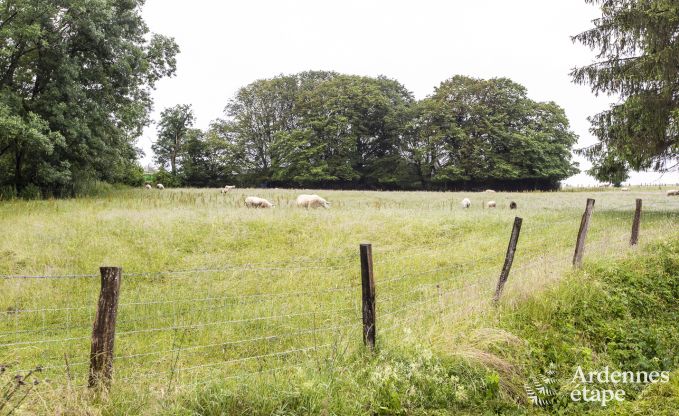 Holiday cottage in Manhay for 4/5 persons in the Ardennes