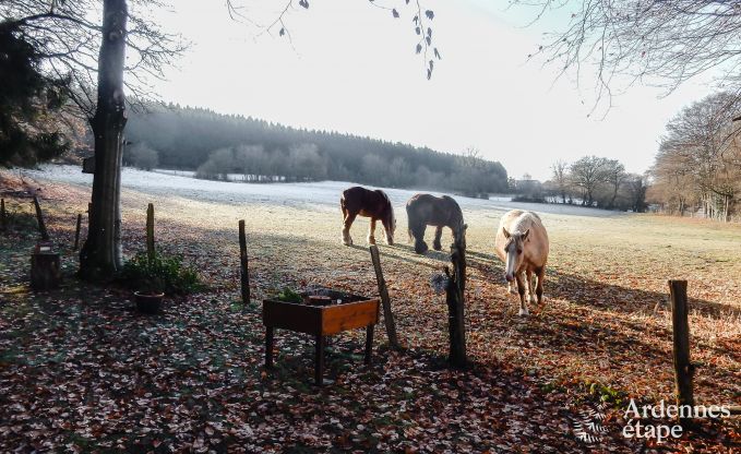 Chalet in Manhay for 2 persons in the Ardennes
