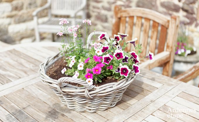 Holiday cottage in Marchin for 8 persons in the Ardennes