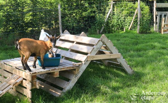 Holiday cottage in Marchin for 6 persons in the Ardennes