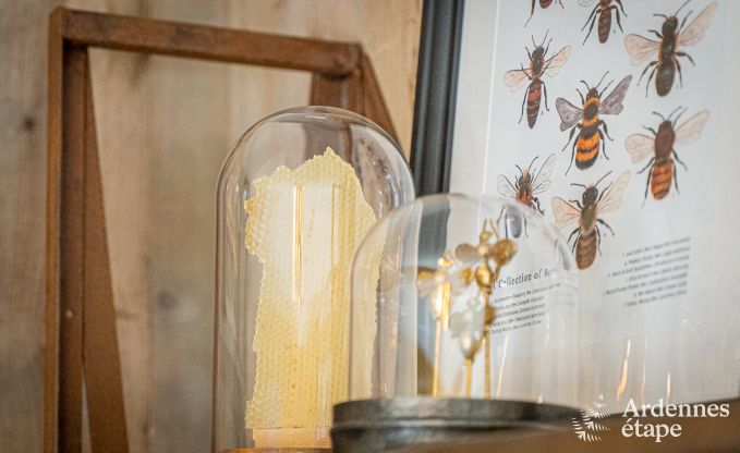 Holiday cottage in Marchin for 4/5 persons in the Ardennes