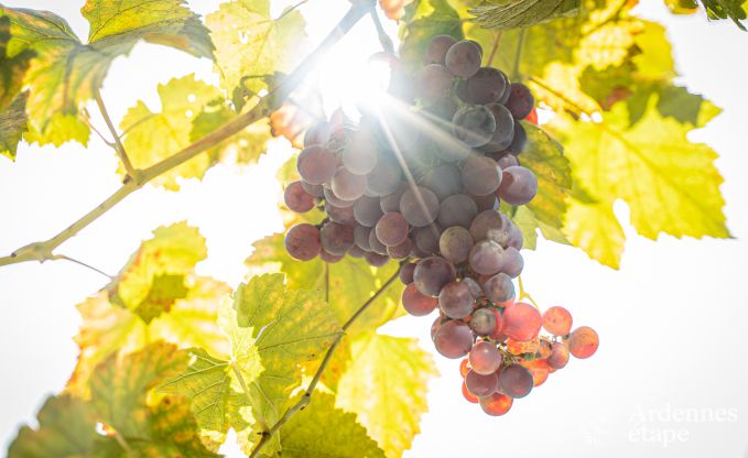 Holiday cottage in Marchin for 4/5 persons in the Ardennes