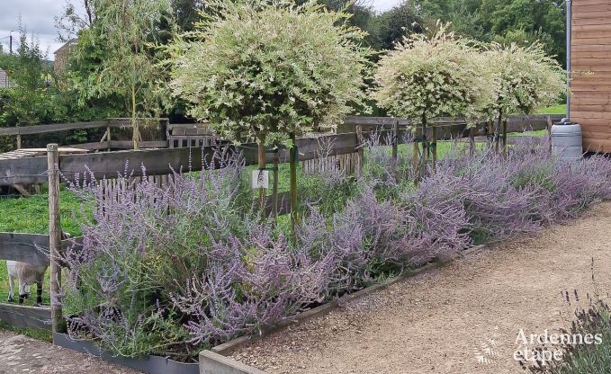 Holiday cottage in Marchin for 6 persons in the Ardennes