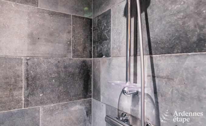 Chalet in Maredsous for 8 persons in the Ardennes