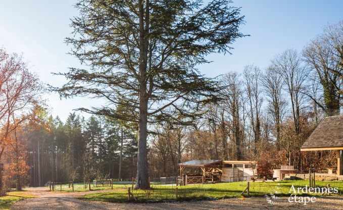 Chalet in Maredsous for 8 persons in the Ardennes