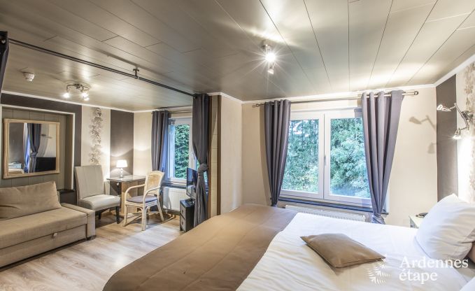 Getaway in the heart of nature in the Ardennes : spacious villa in Houffalize (Nadrin) for 18 people with numerous amenities and services, pets welcome