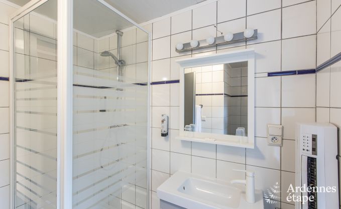 Getaway in the heart of nature in the Ardennes : spacious villa in Houffalize (Nadrin) for 18 people with numerous amenities and services, pets welcome