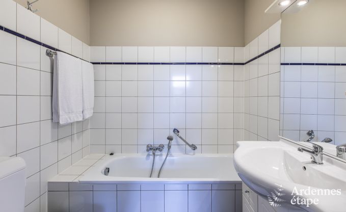 Getaway in the heart of nature in the Ardennes : spacious villa in Houffalize (Nadrin) for 18 people with numerous amenities and services, pets welcome