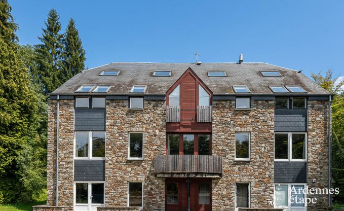 Getaway in the heart of nature in the Ardennes : spacious villa in Houffalize (Nadrin) for 18 people with numerous amenities and services, pets welcome