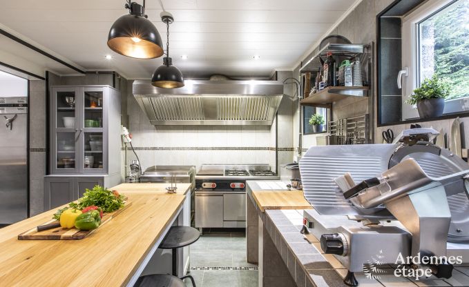 Getaway in the heart of nature in the Ardennes : spacious villa in Houffalize (Nadrin) for 18 people with numerous amenities and services, pets welcome