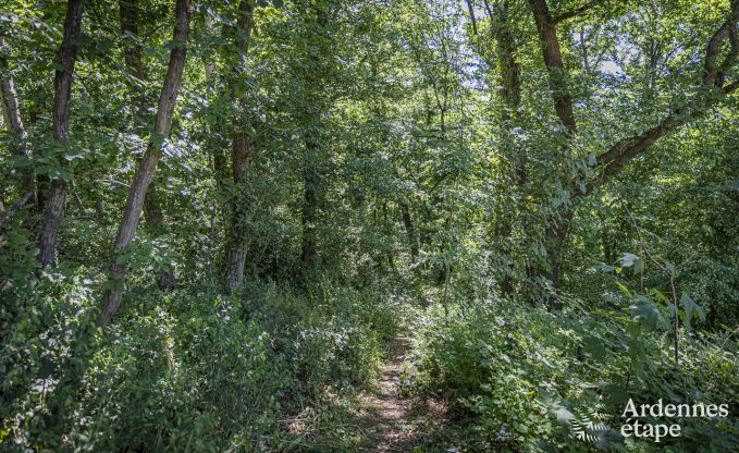 Holiday cottage in Namur for 8 persons in the Ardennes