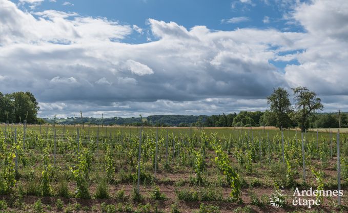 Holiday cottage in Nandrin for 8 persons in the Ardennes