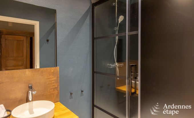 Holiday cottage in Neufchateau for 9 persons in the Ardennes