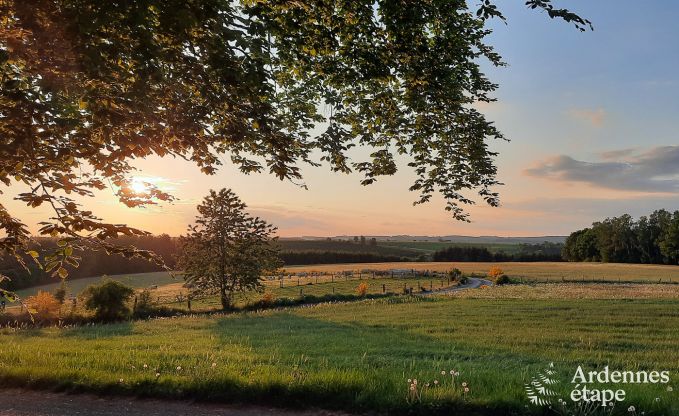 Comfortable holiday home in Neufchateau, ideal for 15 people, with hot tub, sauna and play facilities