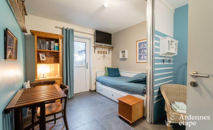 Comfortable holiday home in Neufchateau, ideal for 15 people, with hot tub, sauna and play facilities