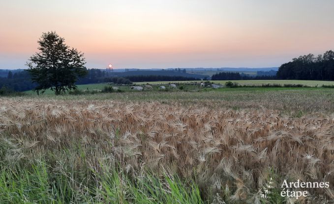 Comfortable holiday home in Neufchateau, ideal for 15 people, with hot tub, sauna and play facilities