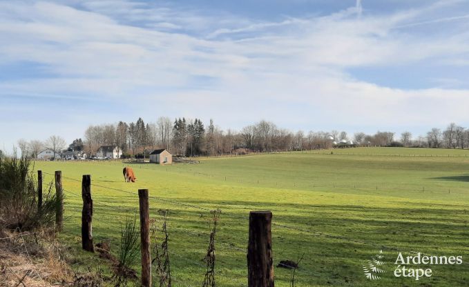 Comfortable holiday home in Neufchateau, ideal for 15 people, with hot tub, sauna and play facilities