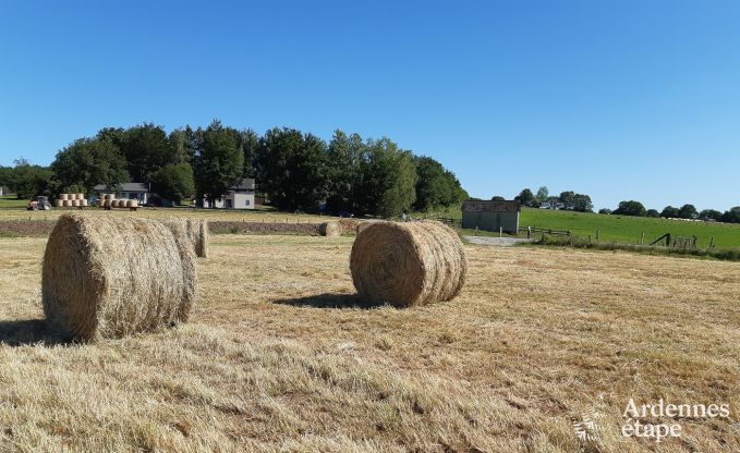 Comfortable holiday home in Neufchateau, ideal for 15 people, with hot tub, sauna and play facilities