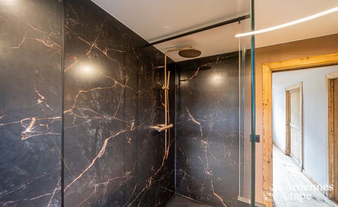 Holiday villa in Ohey: luxury accommodation for 10 people with sauna, jacuzzi and private garden