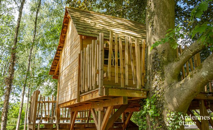 Luxury villa in Ohey for 14 persons in the Ardennes