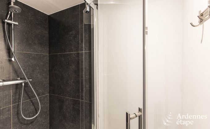 Wonderful holiday home in Onhaye with swimming pool, jacuzzi, sauna and games rooms for 14 people near Dinant