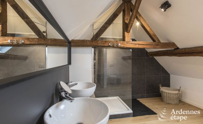 Wonderful holiday home in Onhaye with swimming pool, jacuzzi, sauna and games rooms for 14 people near Dinant