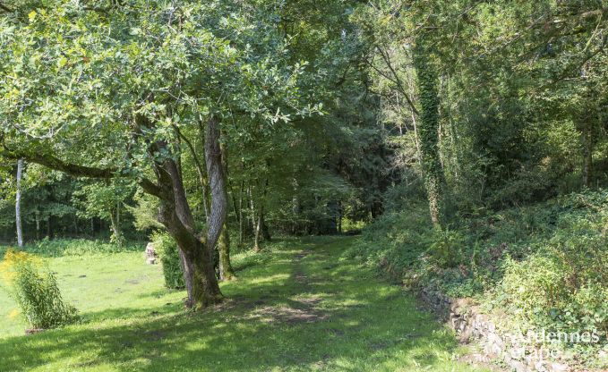 Holiday cottage in Orval for 8 persons in the Ardennes