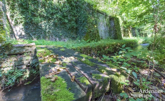 Holiday cottage in Orval for 12 persons in the Ardennes