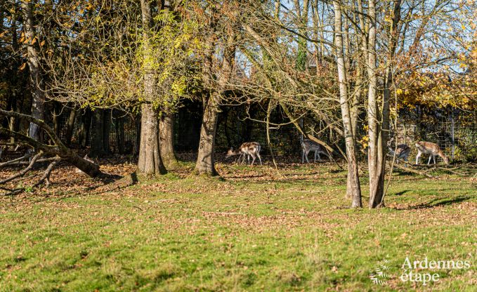 Luxury castle for 30 people in Ouffet with 14 bedrooms, 12 bathrooms, indoor pool, sauna and private garden