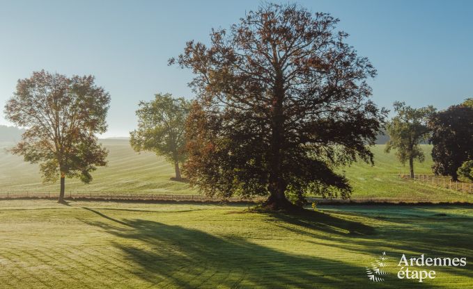 Luxury castle for 30 people in Ouffet with 14 bedrooms, 12 bathrooms, indoor pool, sauna and private garden