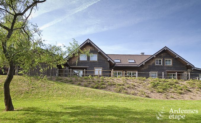 Spacious chalet in Ovifat, Ardennes, 16 people, 8 bedrooms, 3 bathrooms, sauna, billiards, garden with private terrace