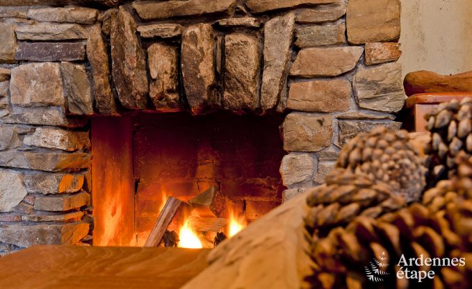 Spacious chalet in Ovifat, Ardennes, 16 people, 8 bedrooms, 3 bathrooms, sauna, billiards, garden with private terrace