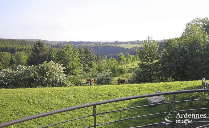 Luxury villa in Ovifat for 18 persons in the Ardennes