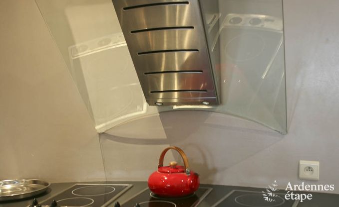 Luxury villa in Ovifat for 18 persons in the Ardennes