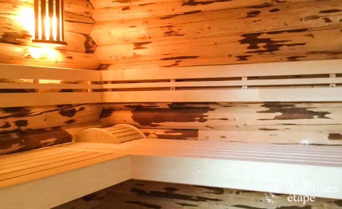 Luxury villa in Ovifa for 14 people with numerous wellness and relaxation facilities.