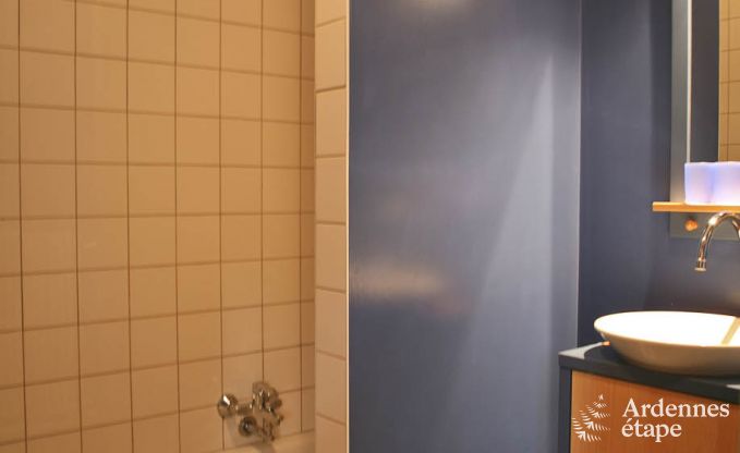 Luxury villa in Ovifat for 18 persons in the Ardennes