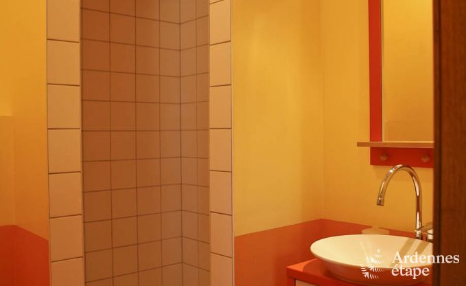 Luxury villa in Ovifat for 18 persons in the Ardennes