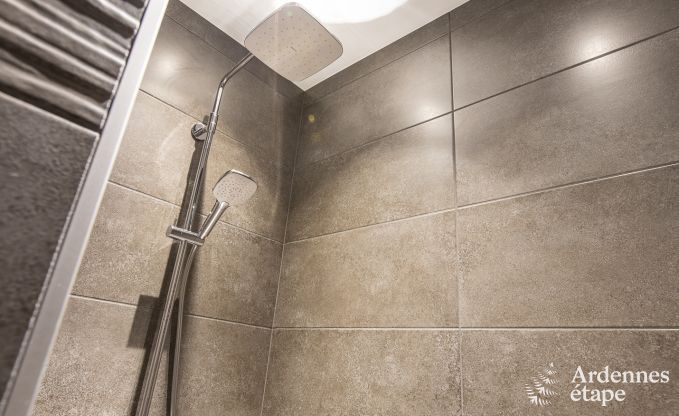 Luxury villa in Paliseul for 15 persons in the Ardennes