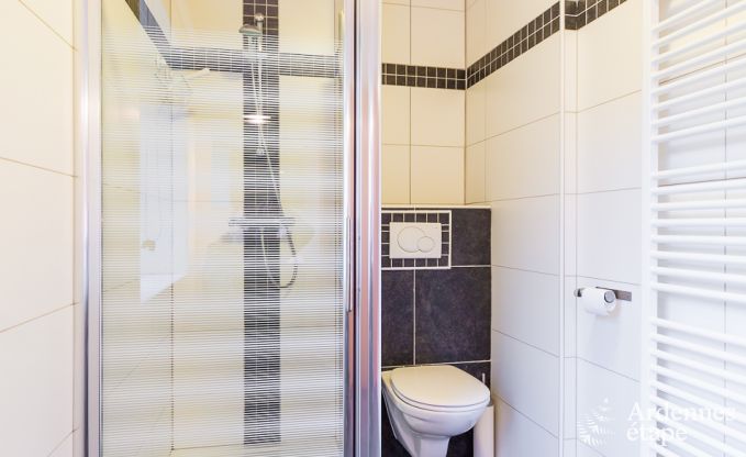 Holiday cottage in Paliseul for 4 persons in the Ardennes