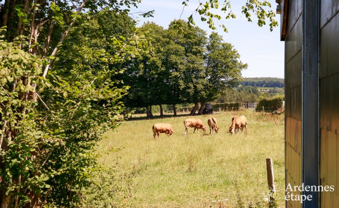 Holiday cottage in Paliseul for 4 persons in the Ardennes