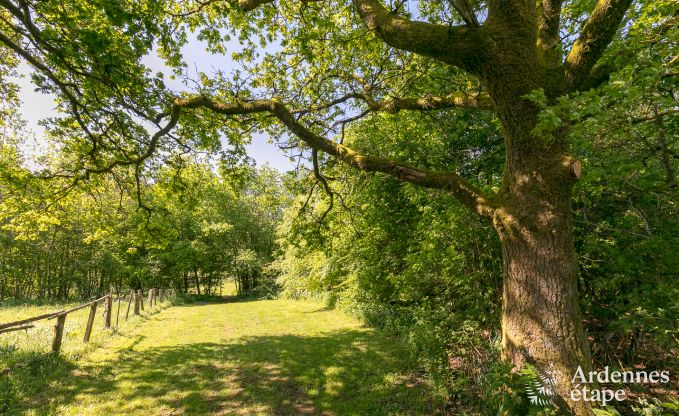 Holiday cottage in Paliseul for 20 persons in the Ardennes